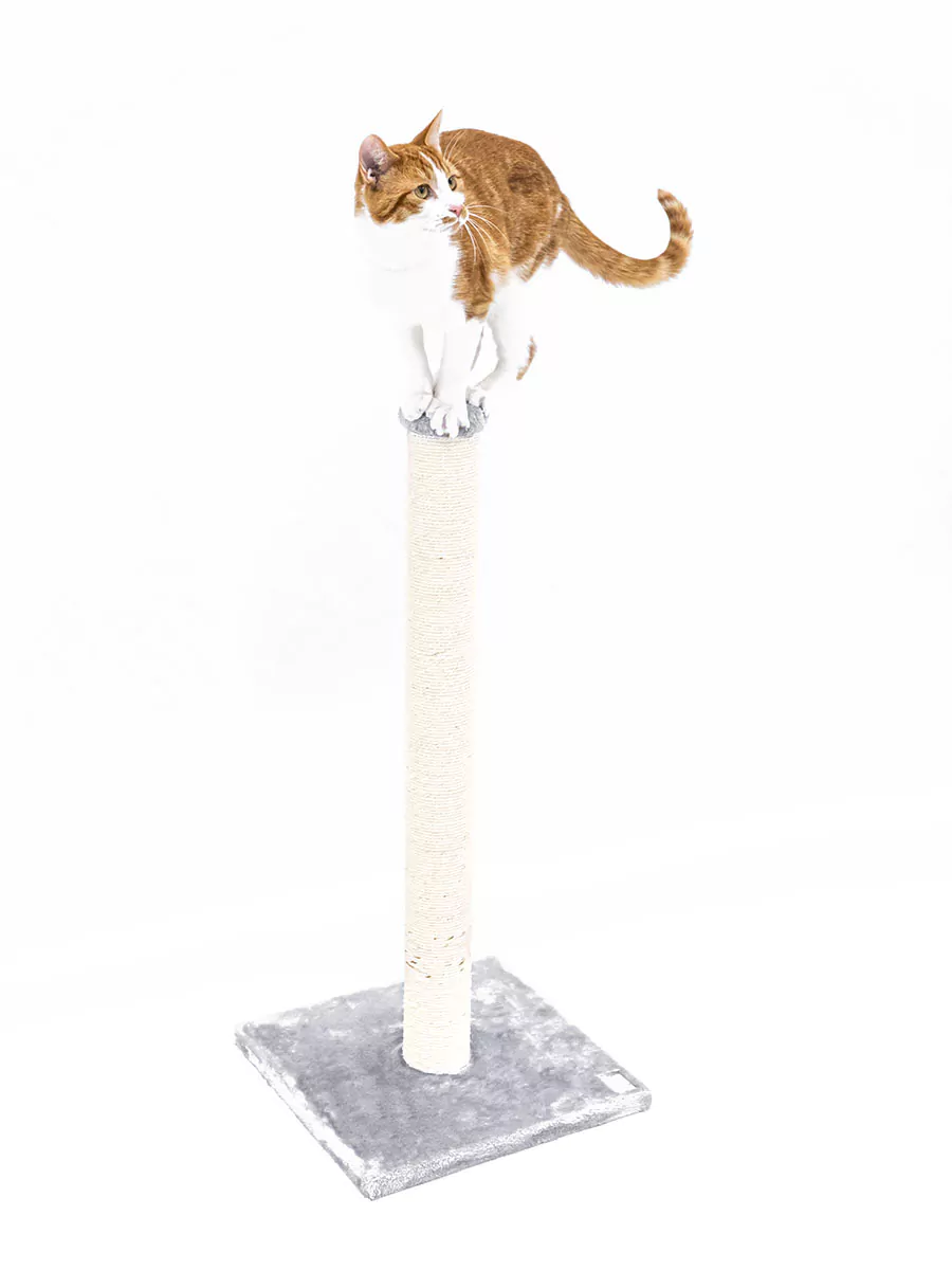 Petrebels Maine 90 kraapimispuu kassidele - Image 2