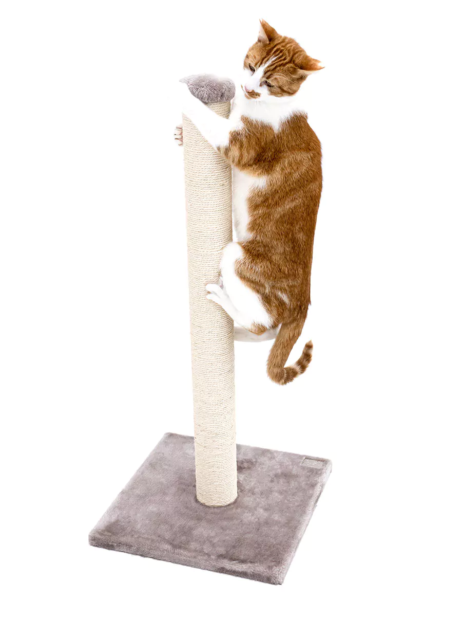 Petrebels Maine 90 kraapimispuu kassidele - Image 3