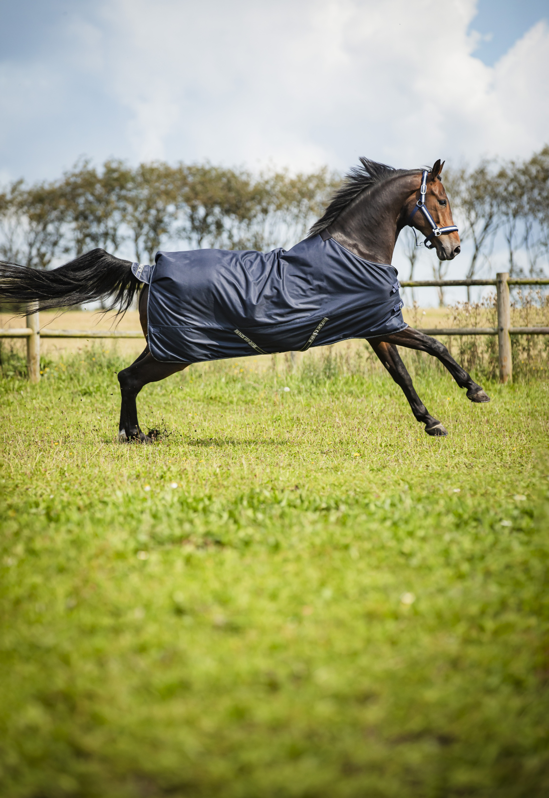 HG Landon vihmatekk hobusele, 1200D - 0g - Image 6