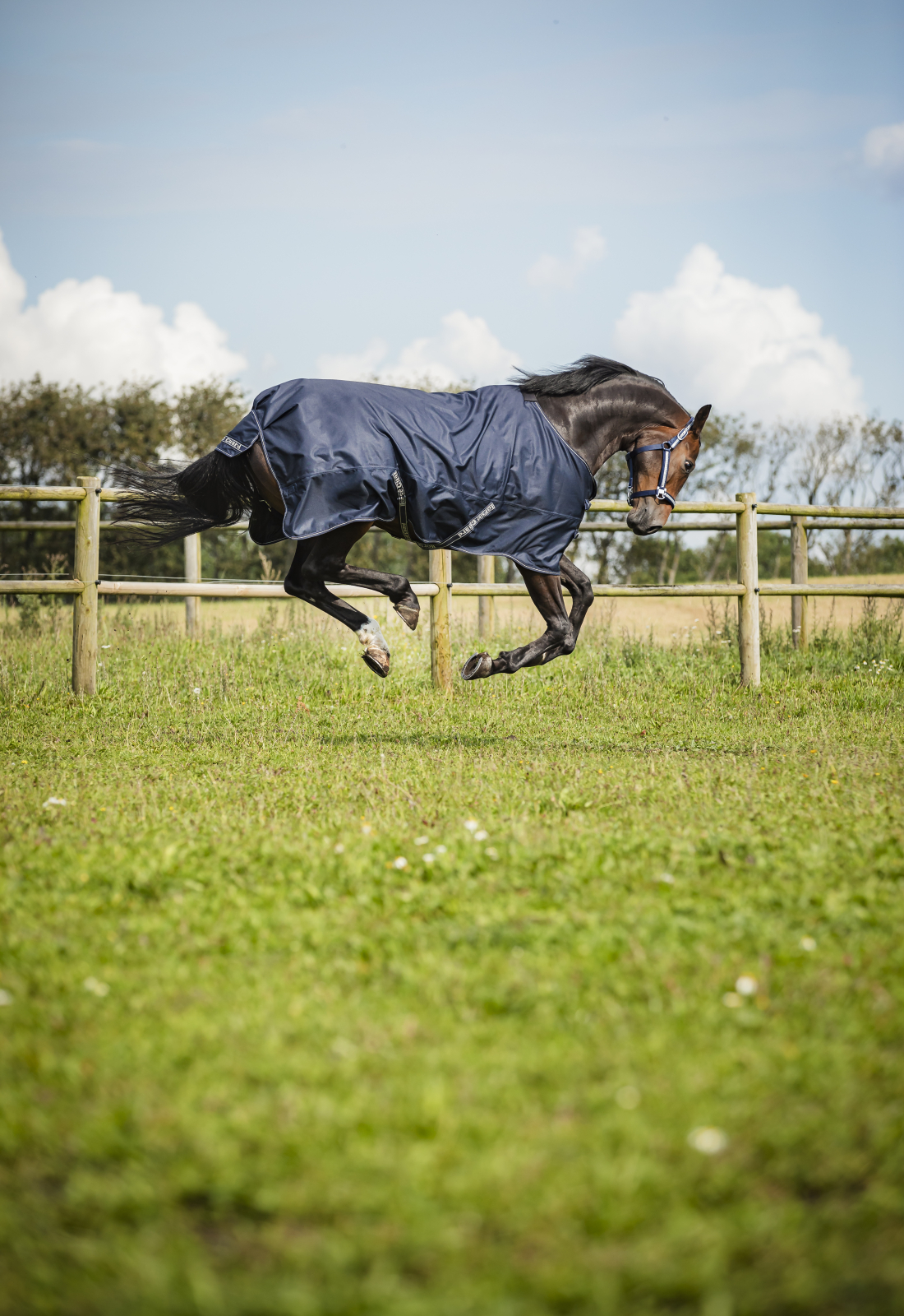 HG Landon vihmatekk hobusele, 1200D - 0g - Image 5