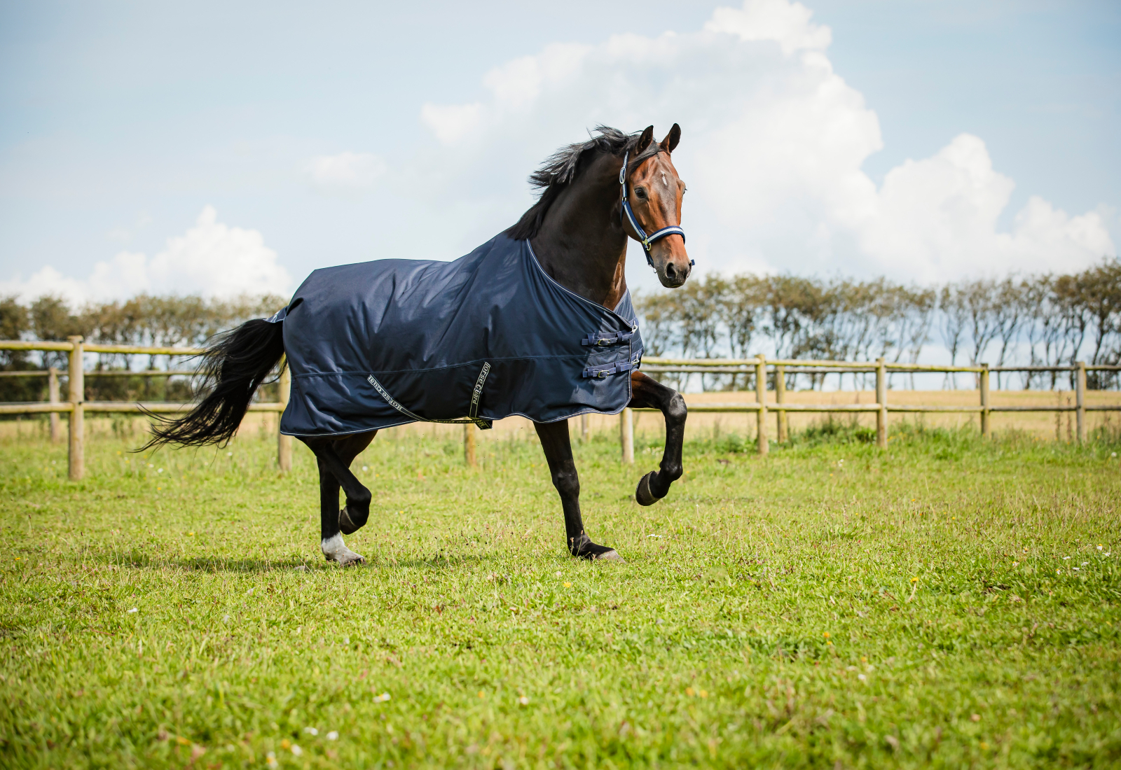 HG Landon vihmatekk hobusele, 1200D - 0g - Image 4