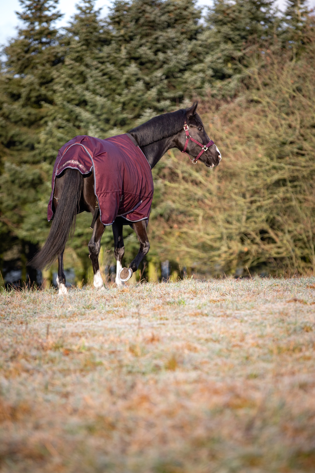 HG Landon õuetekk hobusele, 1200D-100 g - Image 2