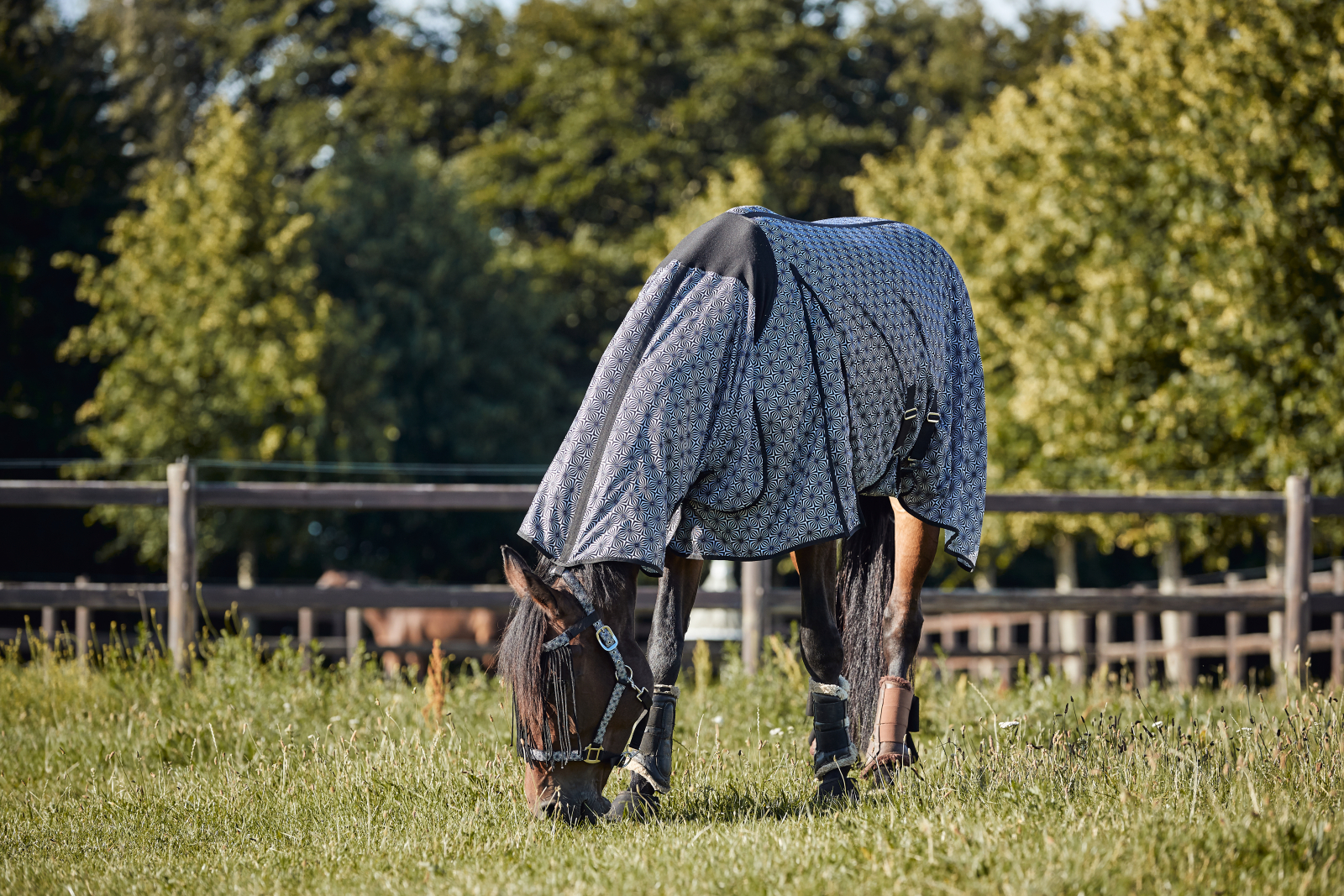 HG Madison putukatekk hobusele - Image 2