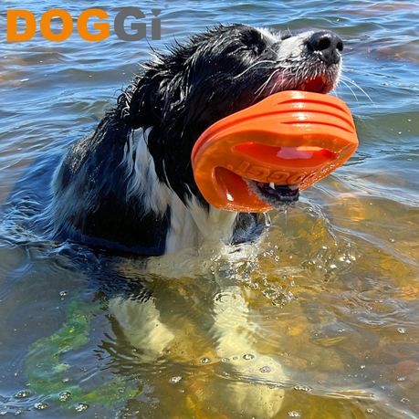 DOGGI Fly&Float mänguasi koertele - Image 6