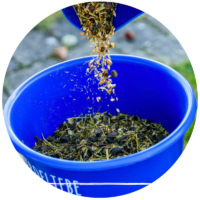 Lisandid ja täiendsöödad