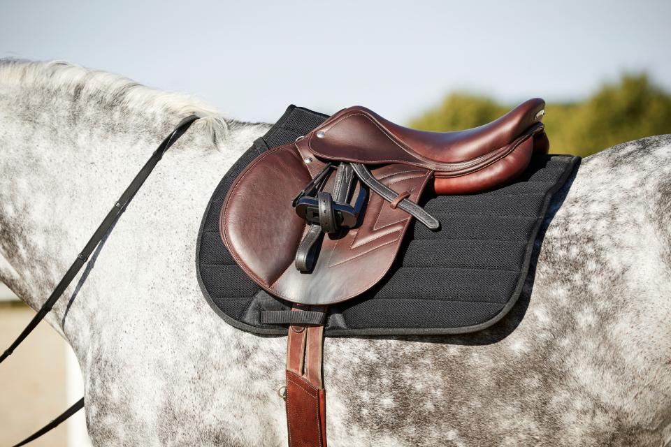 HG Kandy üldsadula valtrap - Image 2