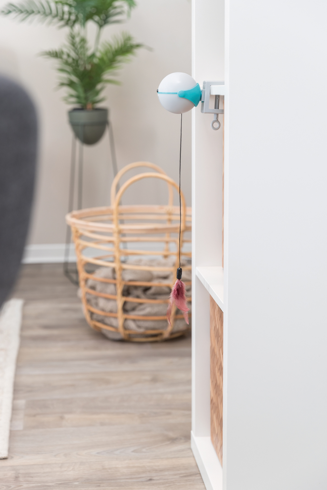 TX Catch It interaktiivne mänguasi kassidele - Image 4