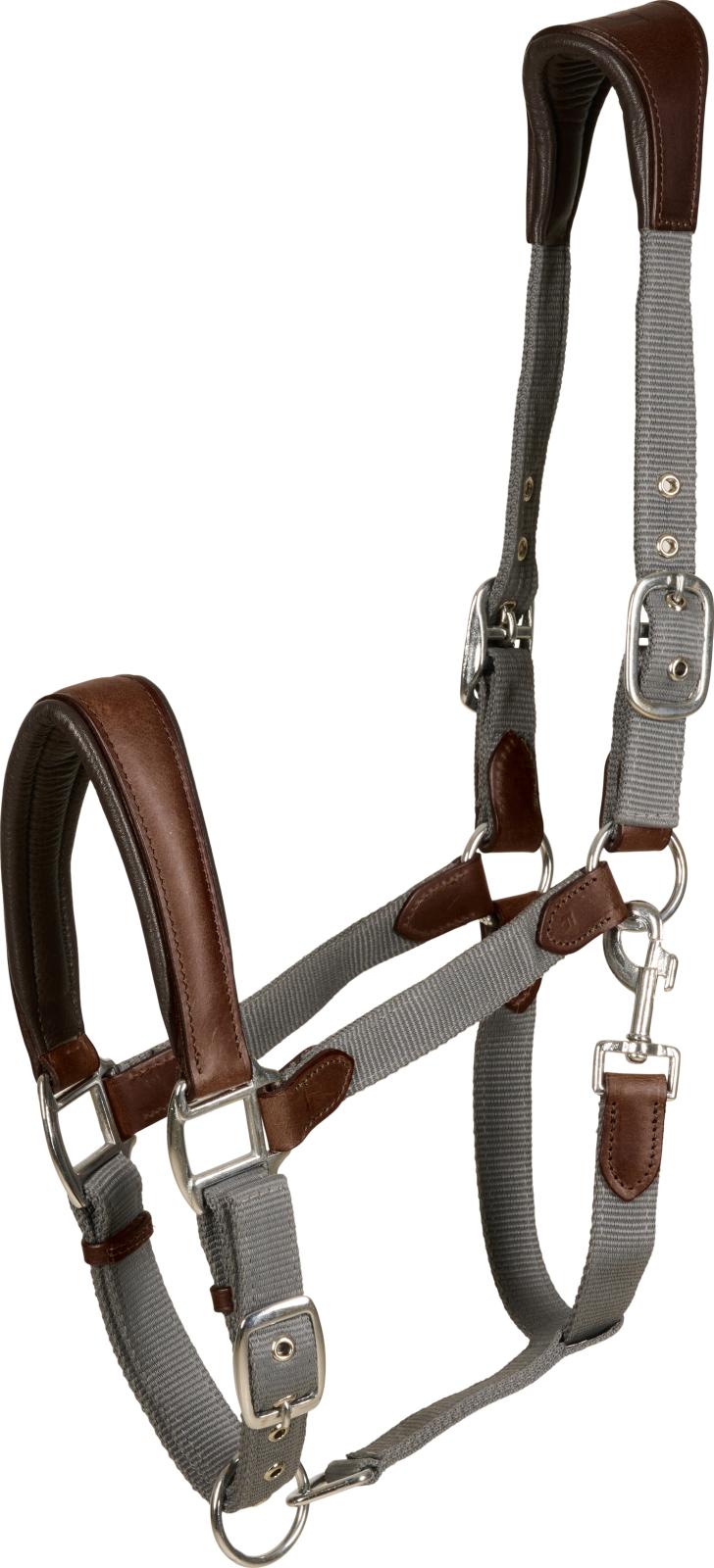 HG Keisha päitsed hobustele - Image 2