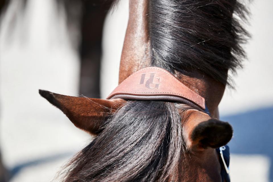 HG Keisha päitsed hobustele - Image 5