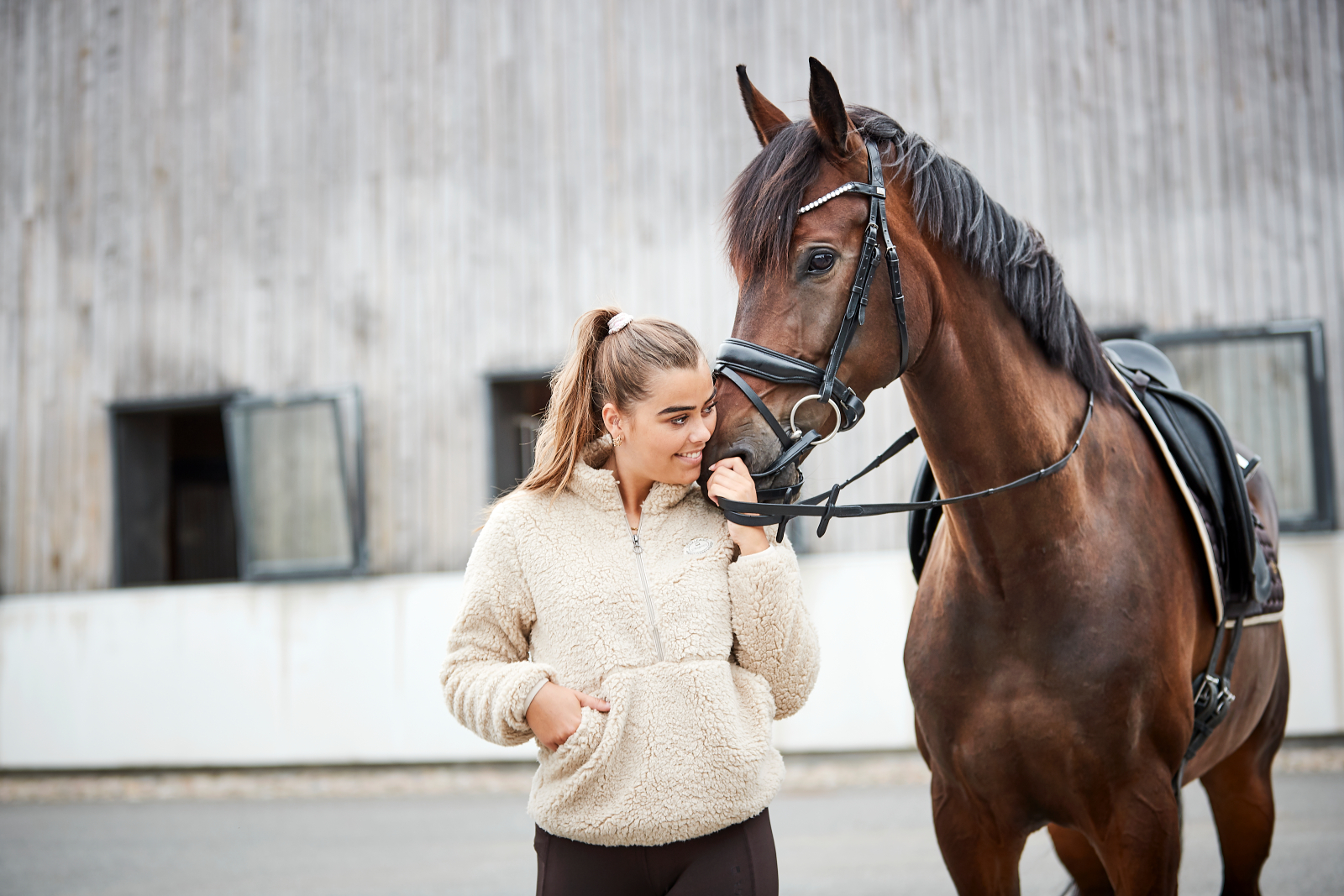 HG Cryll inglise kapsliga valjad hobustele - Image 4