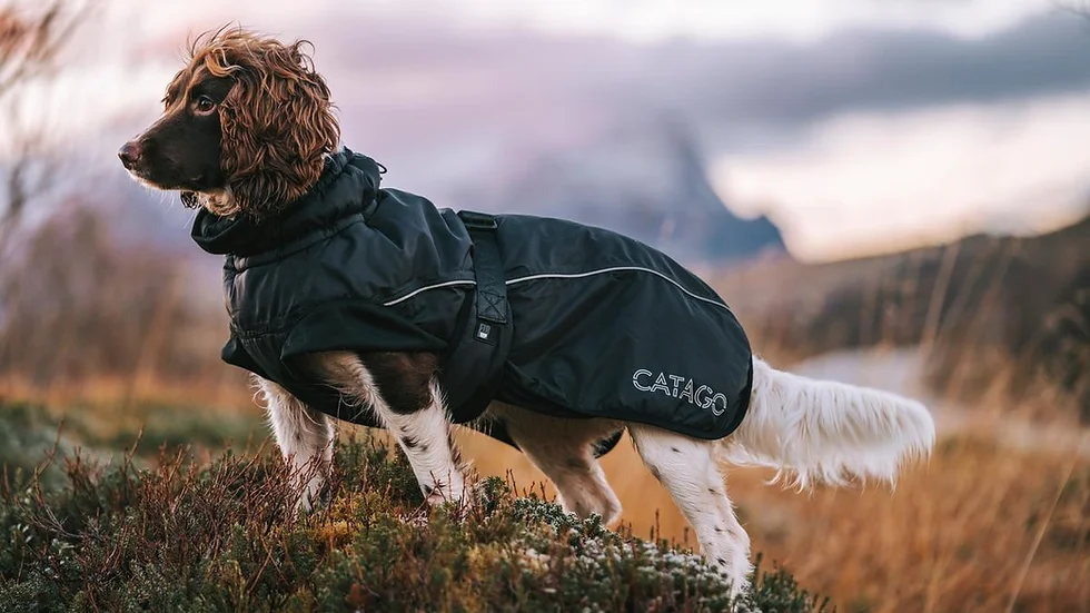 Catago Fir-Tech Winter jope koertele - Image 2