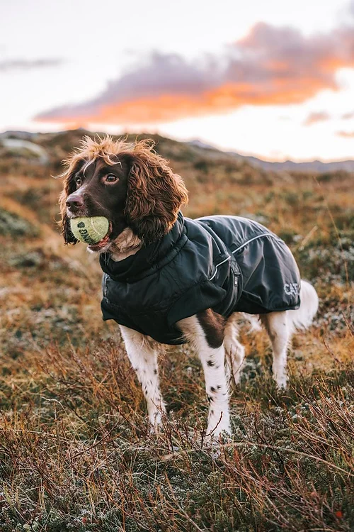 Catago Fir-Tech Winter jope koertele - Image 3