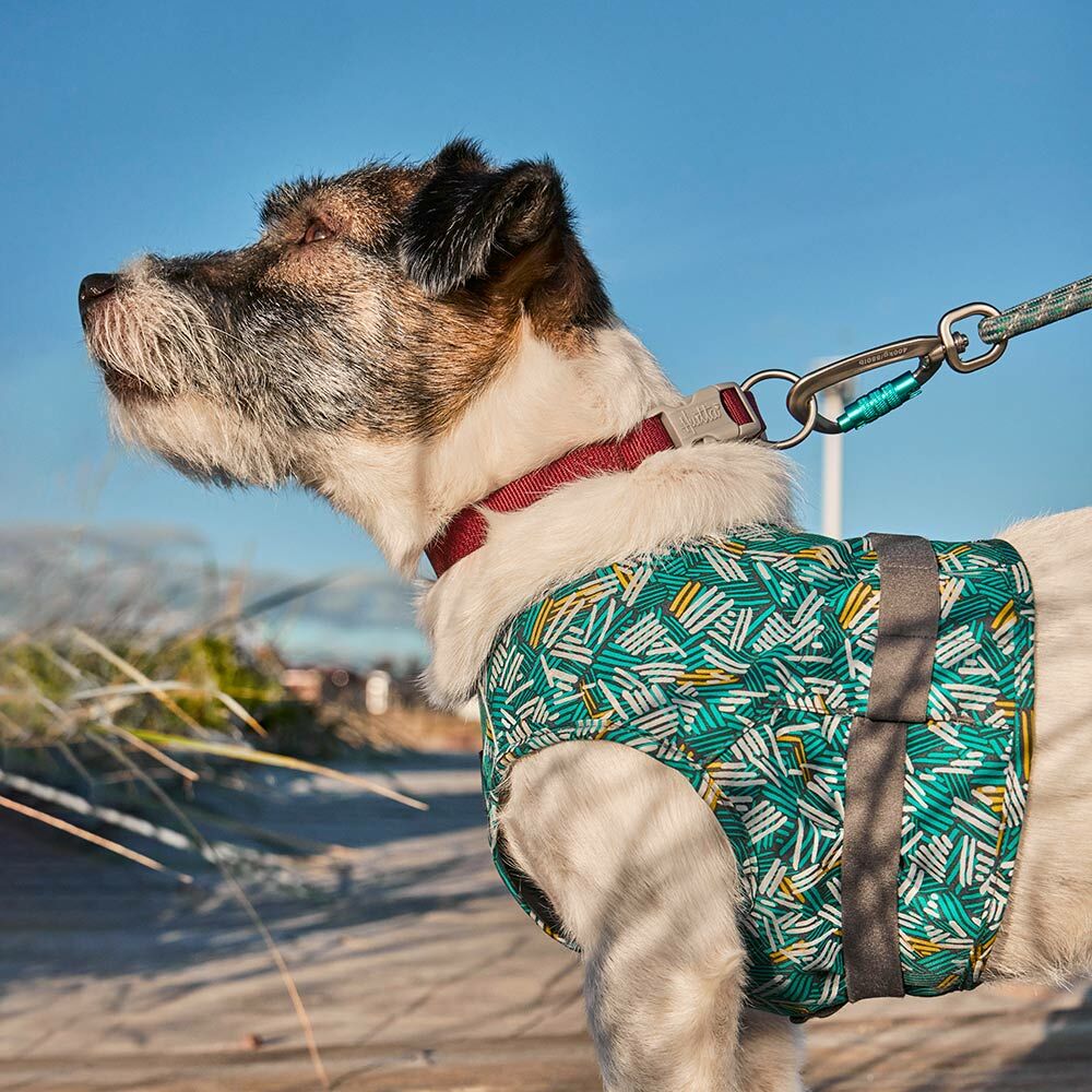 Hurtta Safety Wrap ECO helkurvest koertele - Image 7