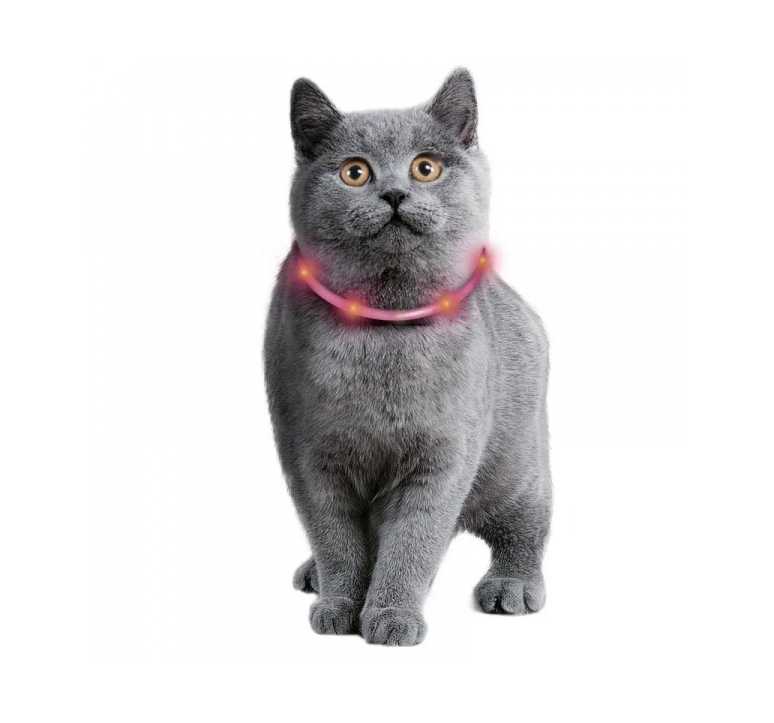 Beezteez Cat LED kaelarihm kassidele - Image 2