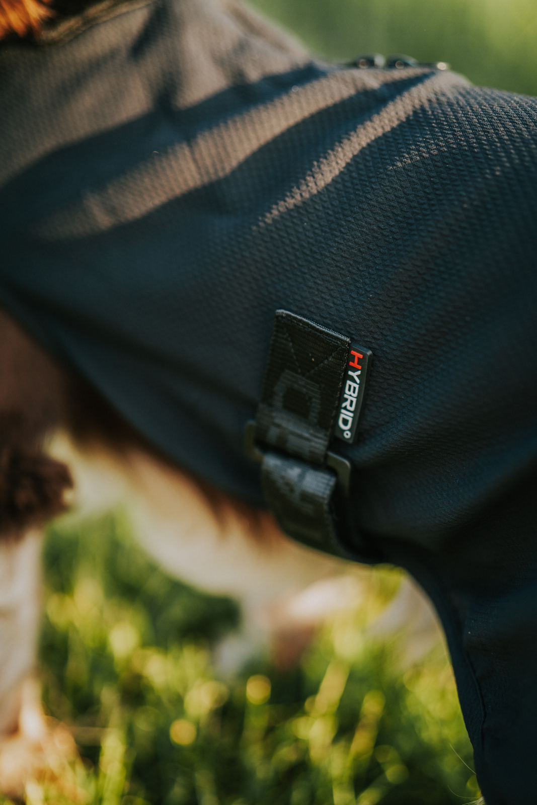 Catago Hybrid jope koertele - Image 5