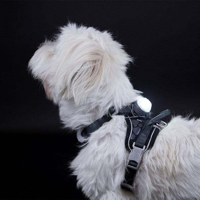 Hurtta Nordic LED tuluke - Image 6