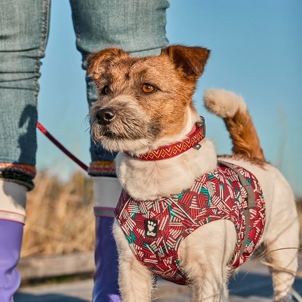 Hurtta Safety Wrap ECO helkurvest koertele - Image 4