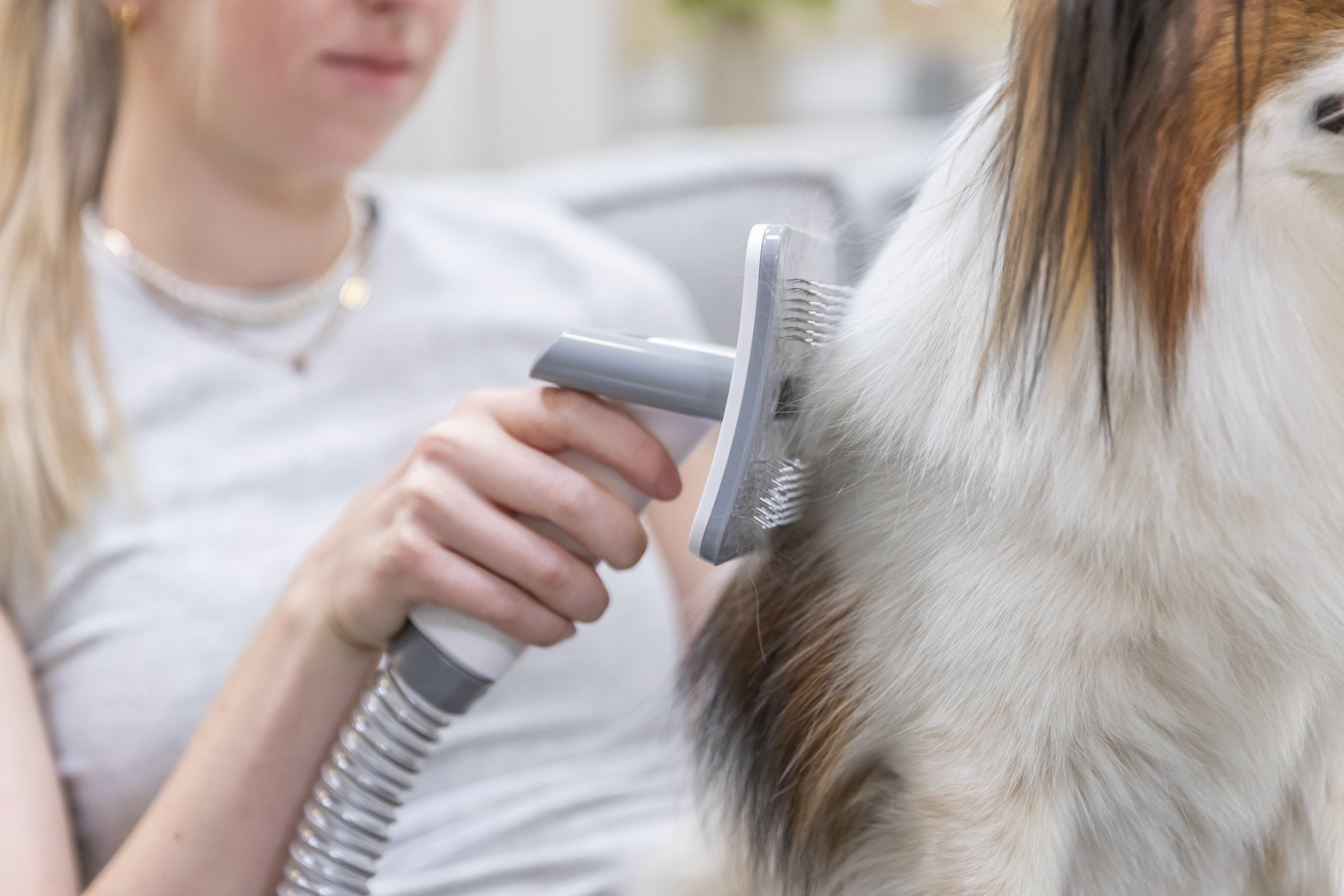 TX Clipper Set pügamismasin karvaimejaga - Image 6