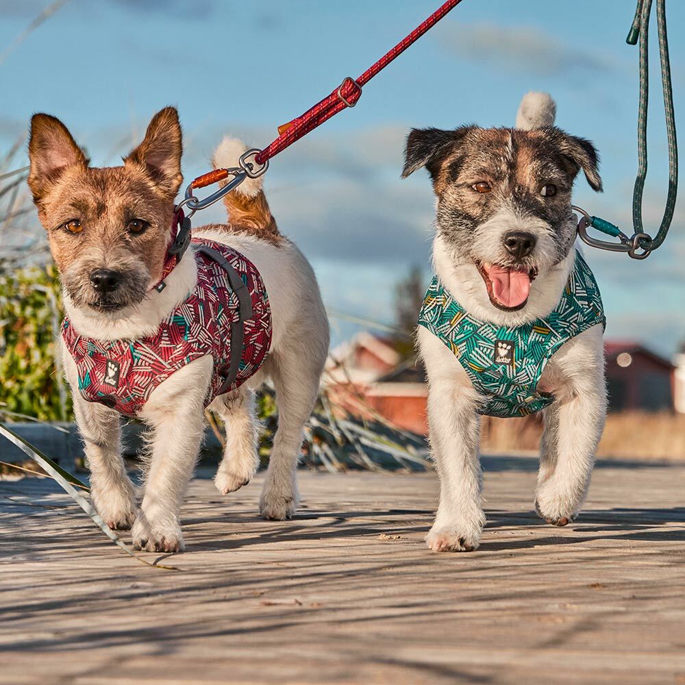 Hurtta Safety Wrap ECO helkurvest koertele - Image 6