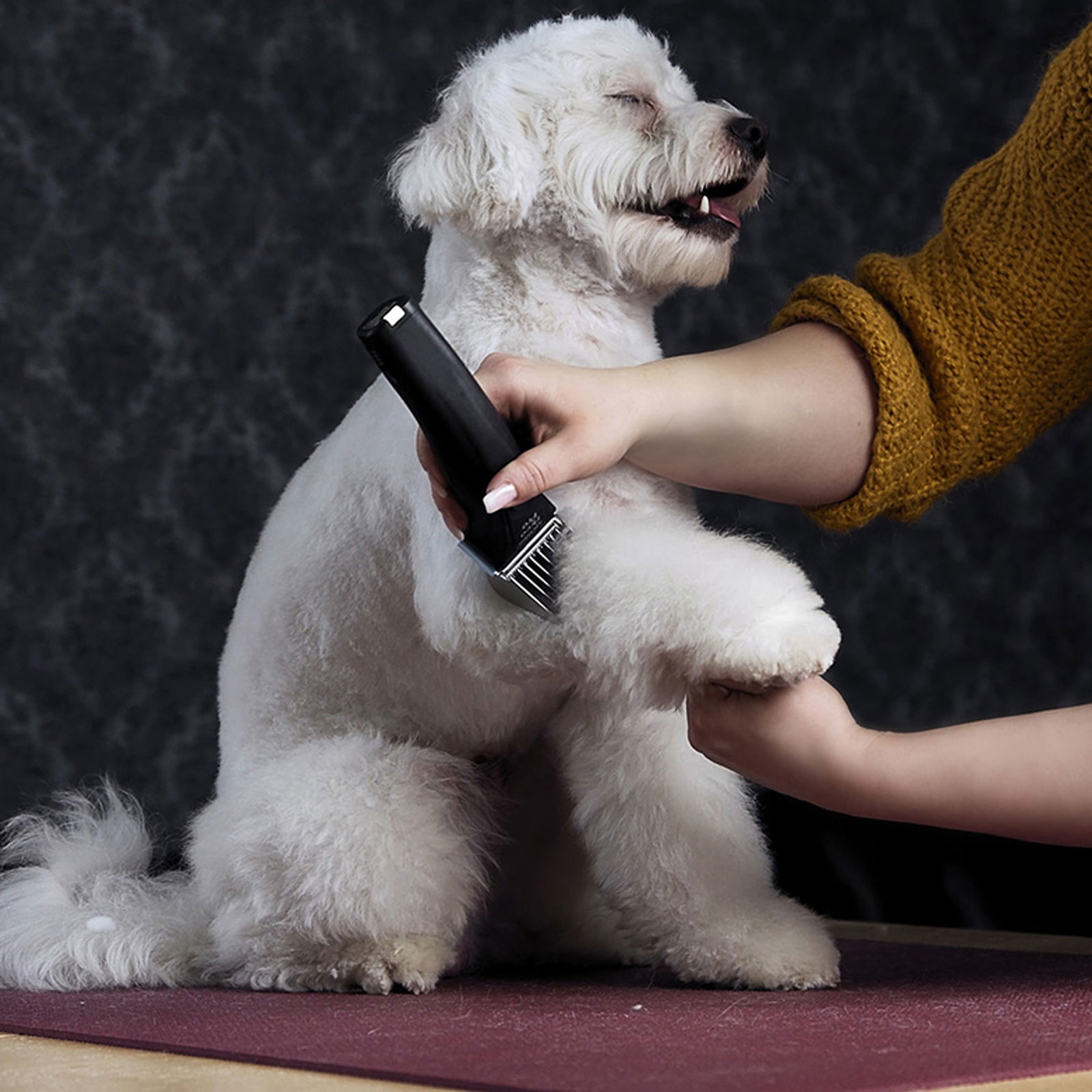 Moser Arco Pro trimmer lemmikloomale - Image 5