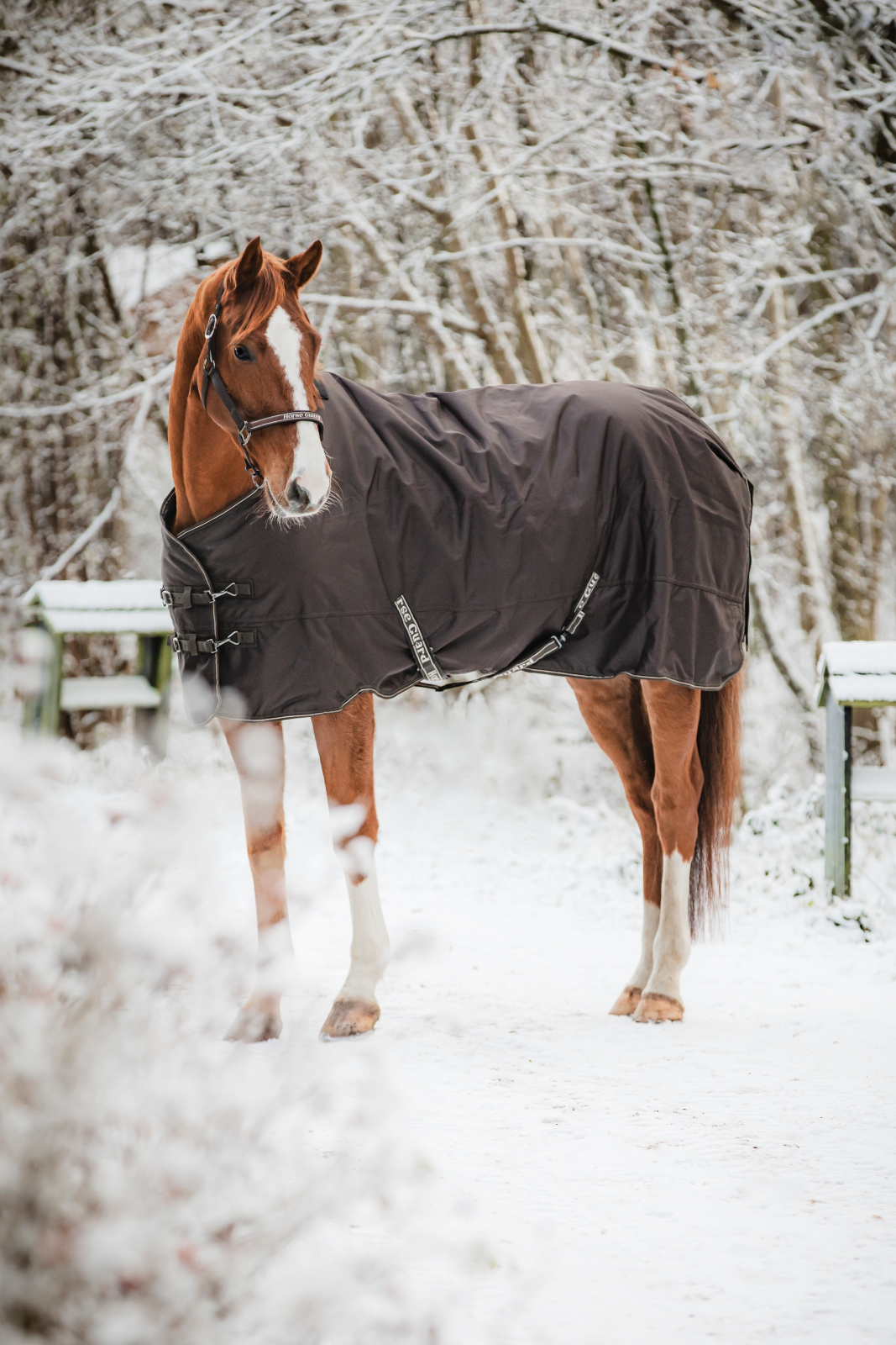 HG Landon õuetekk hobusele, 1200D-200 g - Image 6