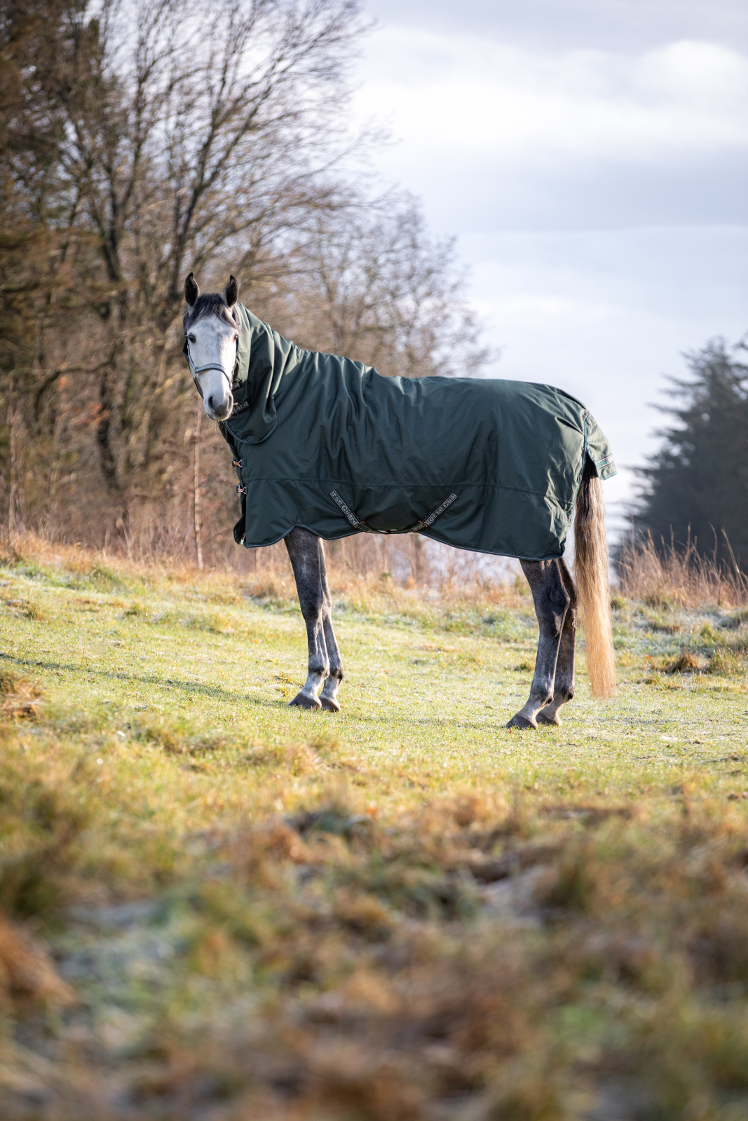 HG Lynn kaelaosaga õuetekk hobusele, 1200D-400 g - Image 9