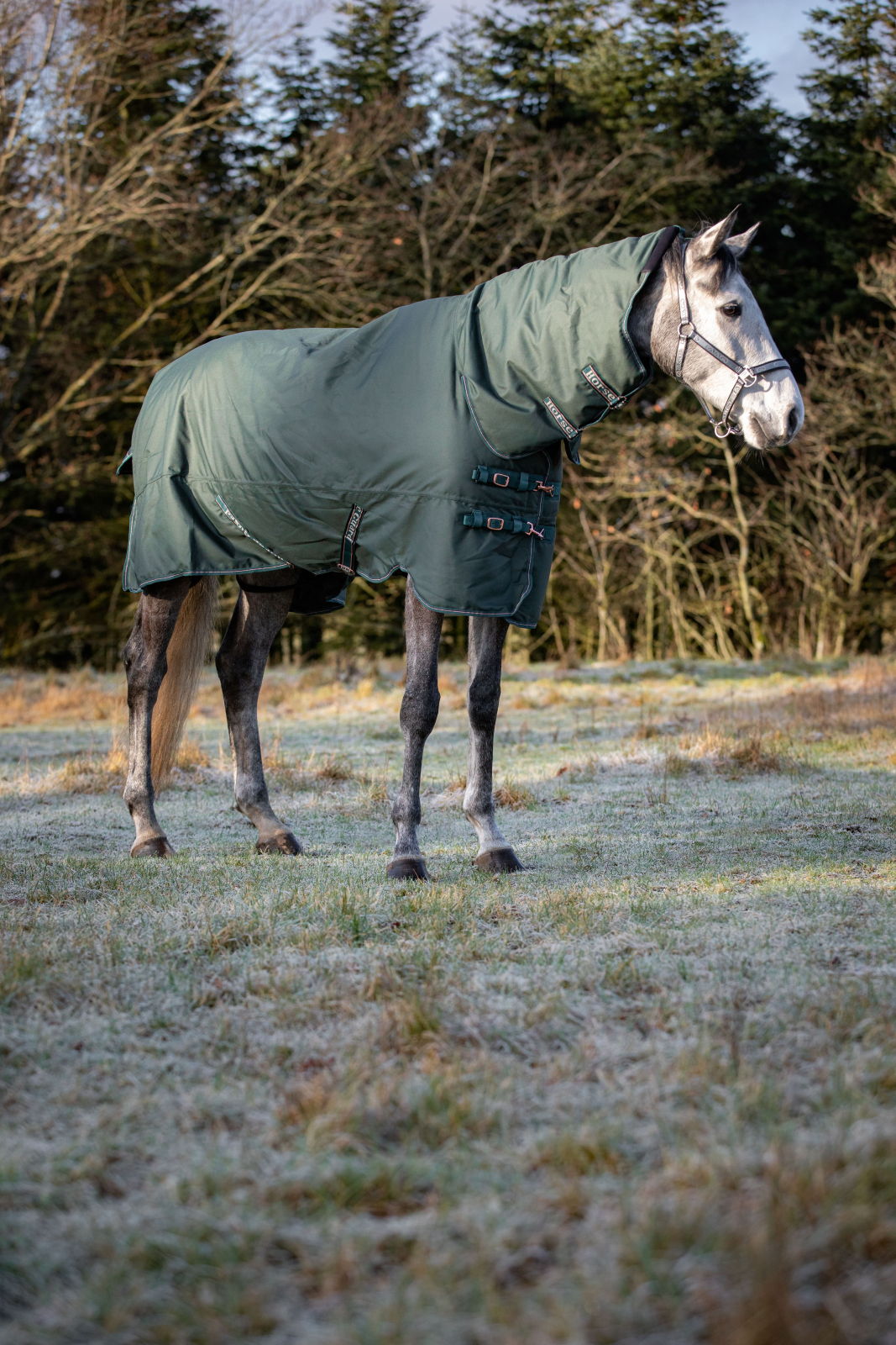 HG Lynn kaelaosaga õuetekk hobusele, 1200D-400 g - Image 8