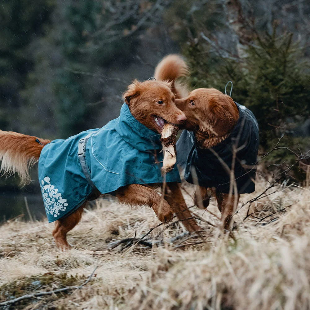 Hurtta Monsoon vihmajope koertele - Image 7