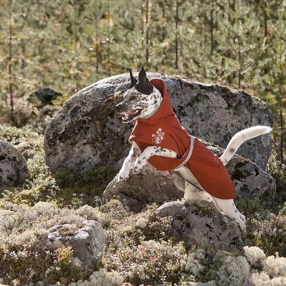 Hurtta Extreme Warmer ECO soe jope koertele - Image 3