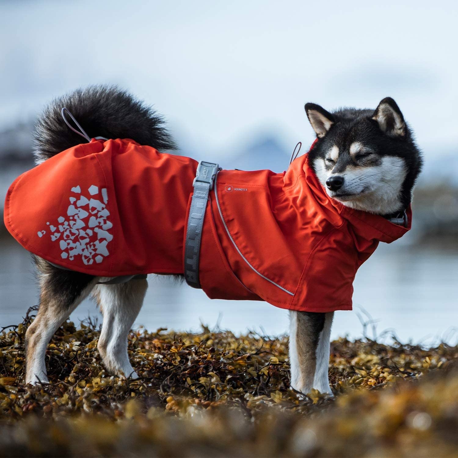 Hurtta Monsoon vihmajope koertele - Image 3