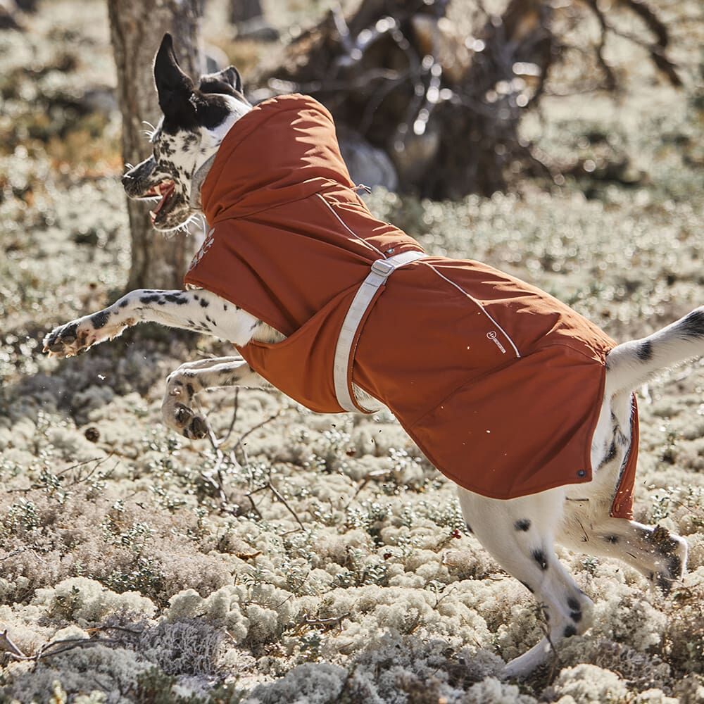 Hurtta Extreme Warmer ECO soe jope koertele - Image 4