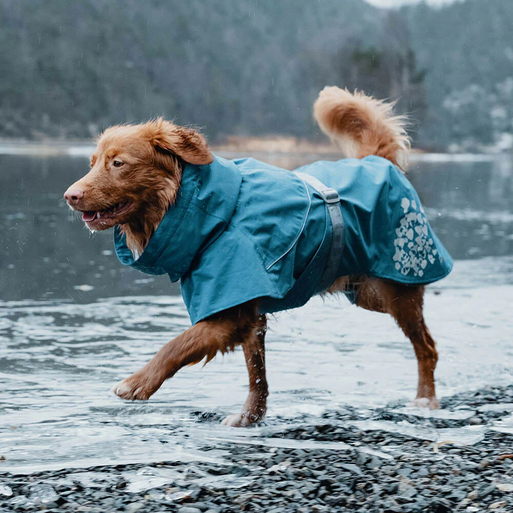 Hurtta Monsoon vihmajope koertele - Image 2