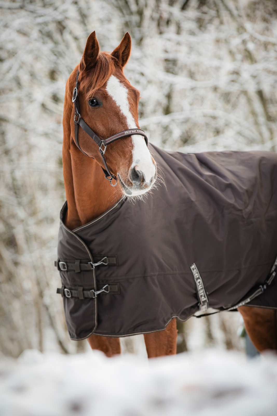 HG Landon õuetekk hobusele, 1200D-200 g - Image 5