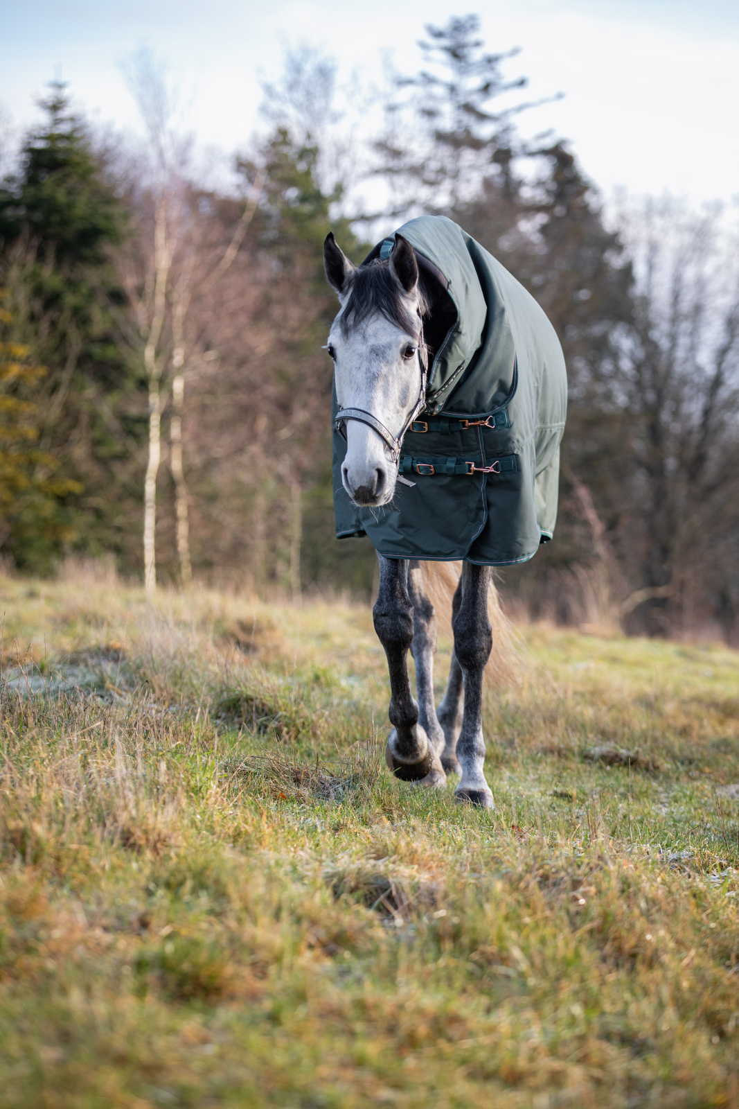 HG Lynn kaelaosaga õuetekk hobusele, 1200D-400 g - Image 7