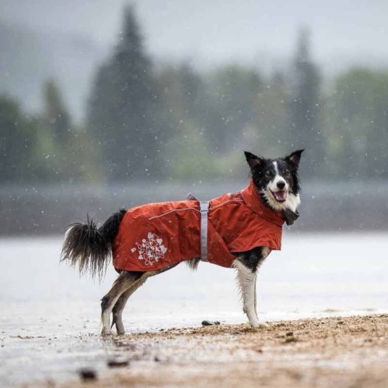 Hurtta Extreme Warmer ECO soe jope koertele - Image 5