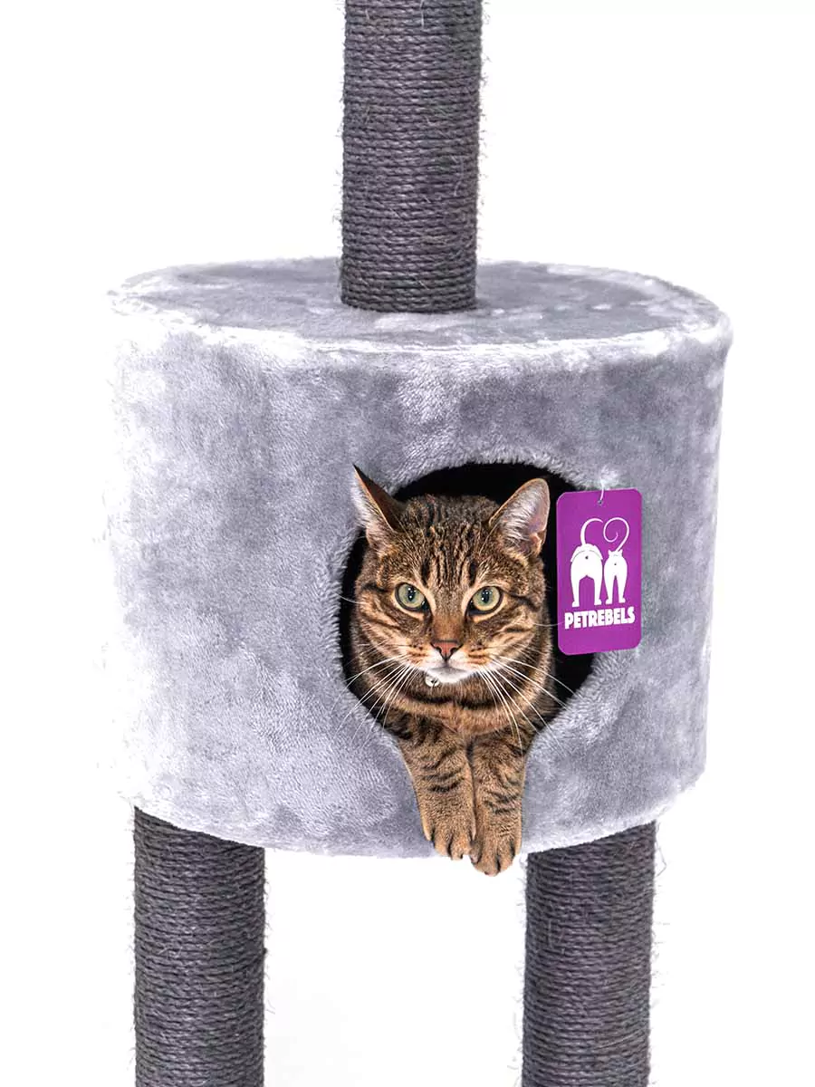 Petrebels Anna 240 kraapimispuu kassidele - Image 5