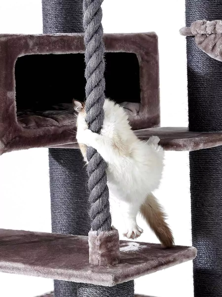 Petrebels Turnpike 190 kraapimispuu kassidele - Image 4