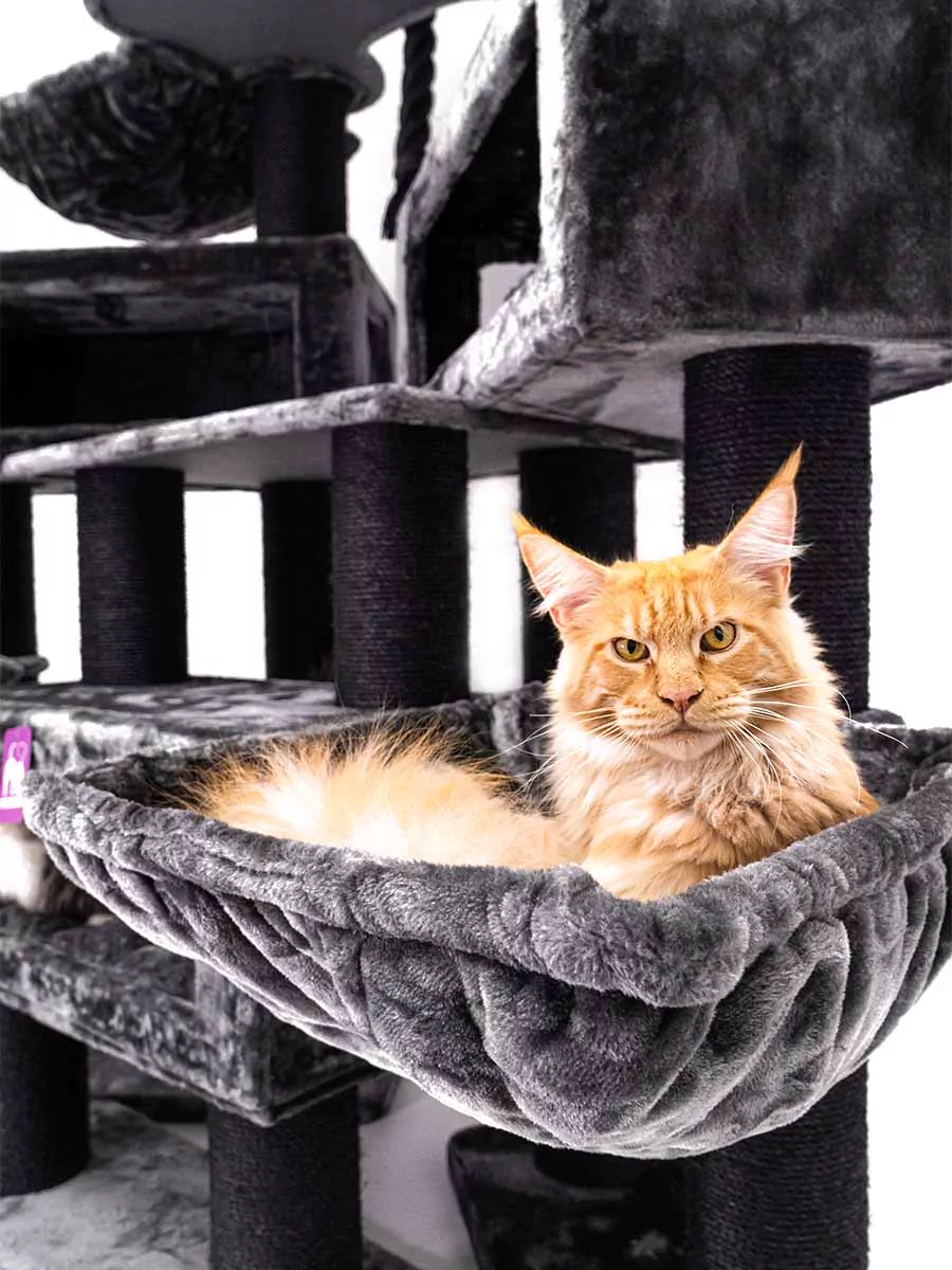 Petrebels Alley 200 kraapimispuu kassidele - Image 6