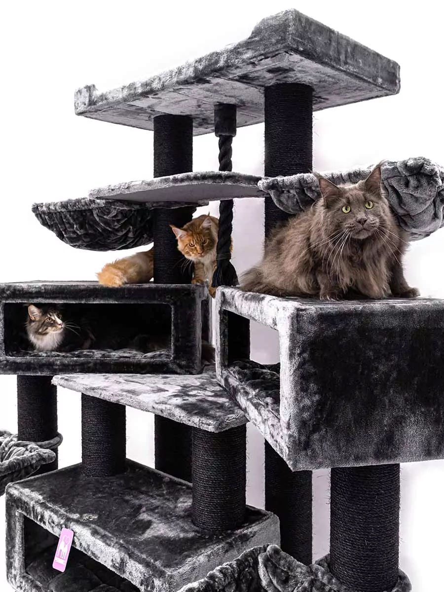 Petrebels Alley 200 kraapimispuu kassidele - Image 11