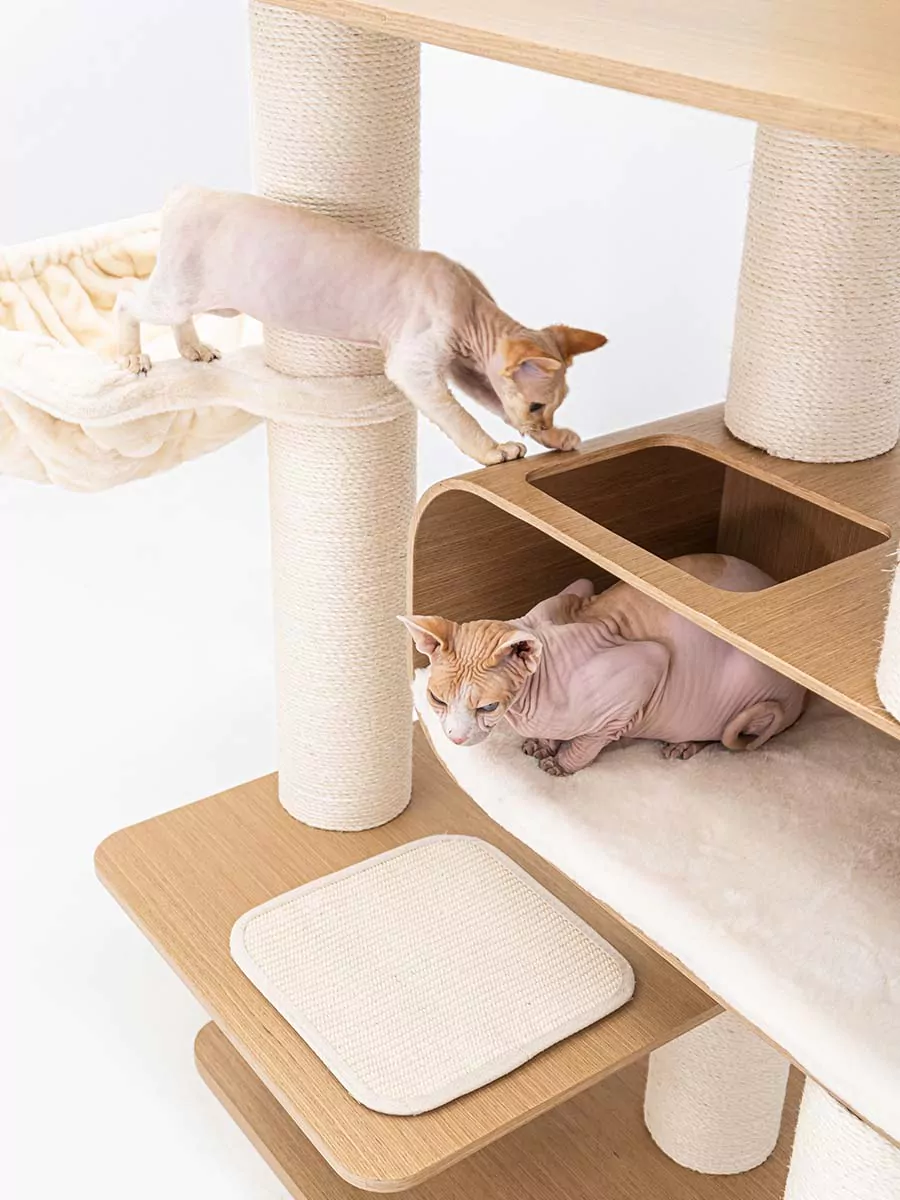 Petrebels Virgo 173 kraapimispuu kassidele - Image 4