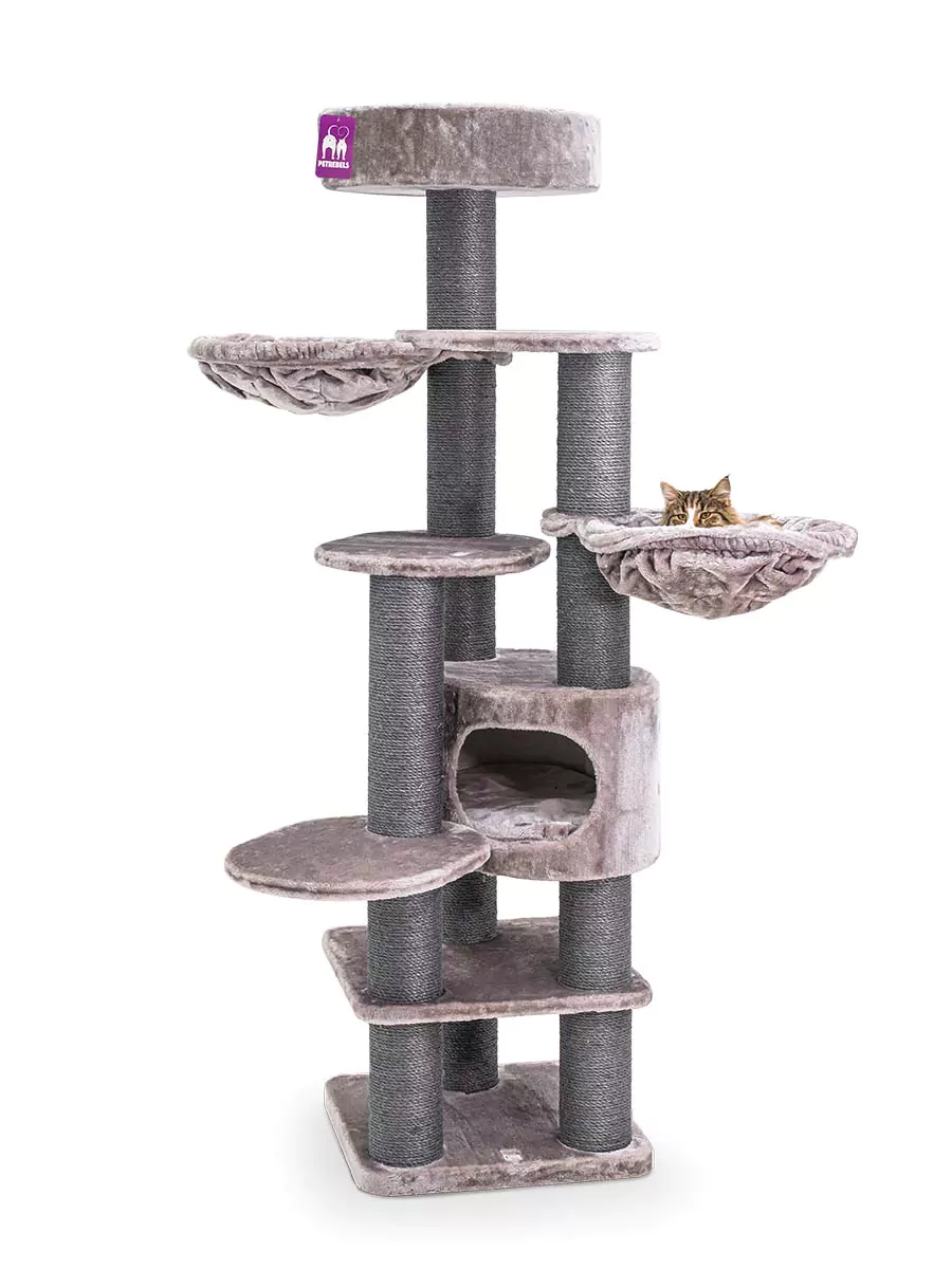 Petrebels Jane 175 kraapimispuu kassidele - Image 2