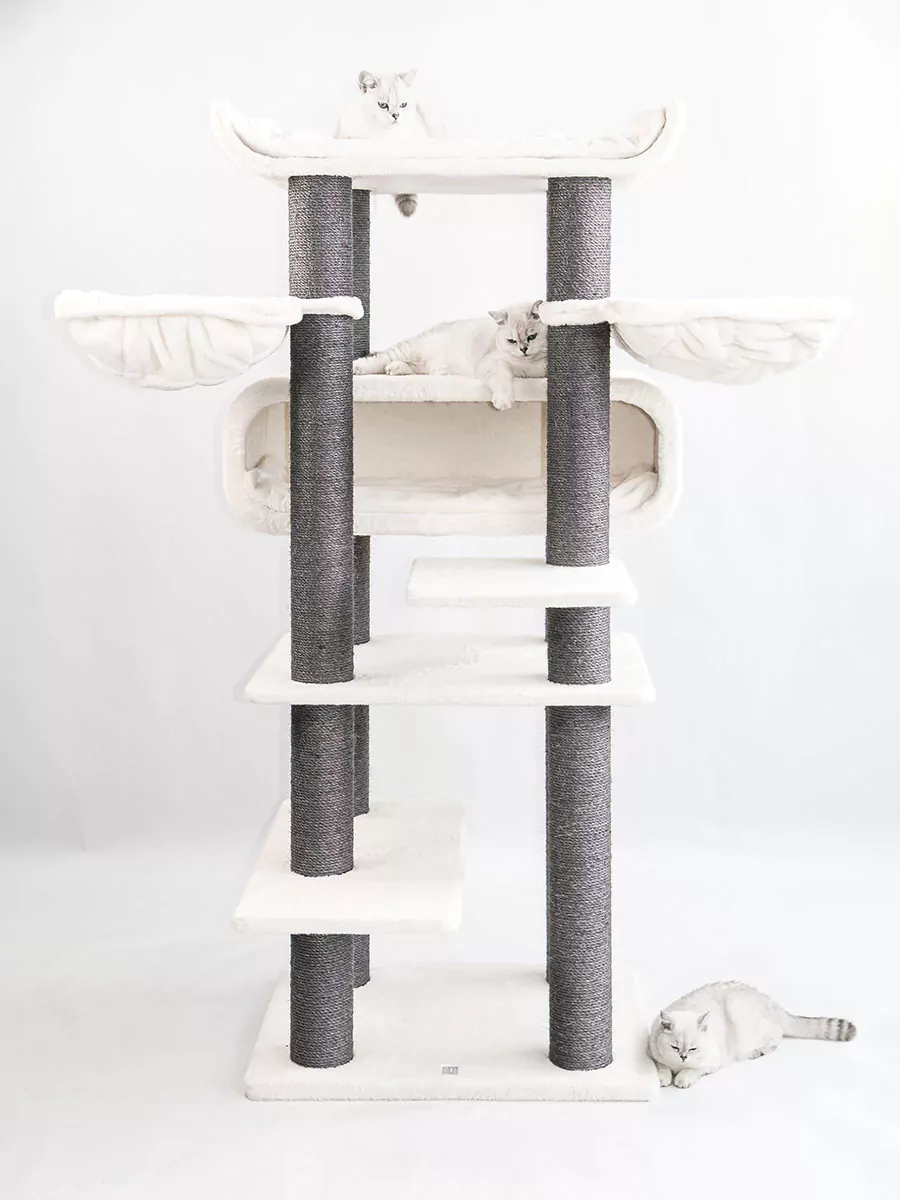 Petrebels Route 190 kraapimispuu kassidele - Image 2