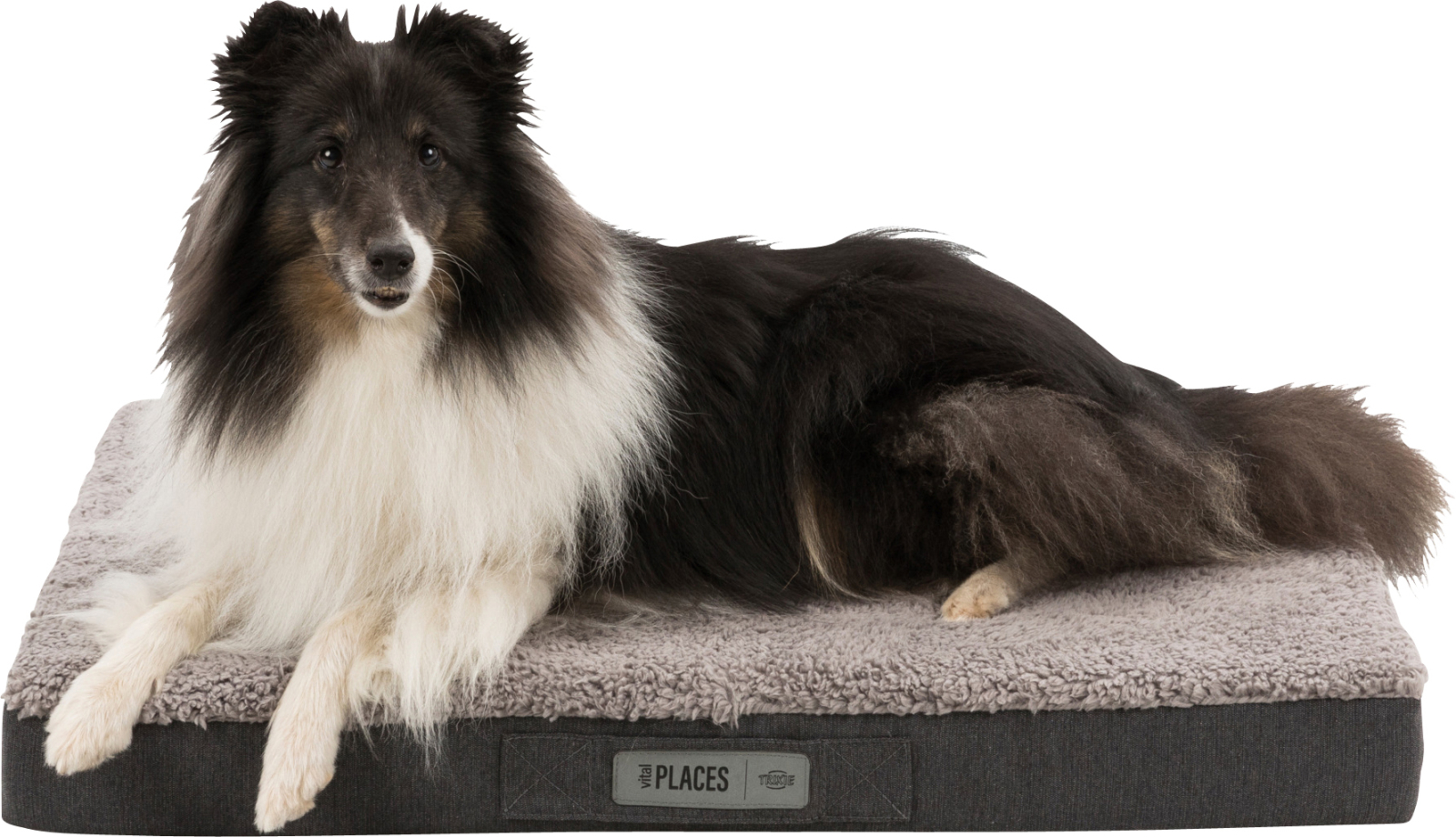 Bendson mäluvahuga ortopeediline madrats koertele - Image 5