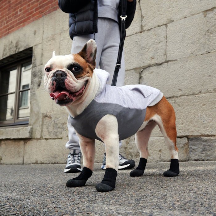 Goo-eez Ultras geeliga koerte saapad - Image 5