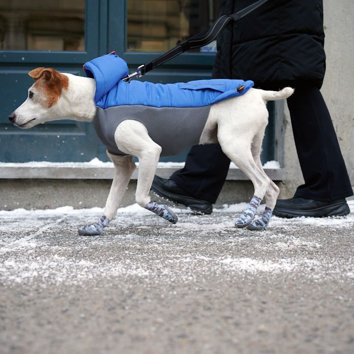 Goo-eez Ultras geeliga koerte saapad - Image 8