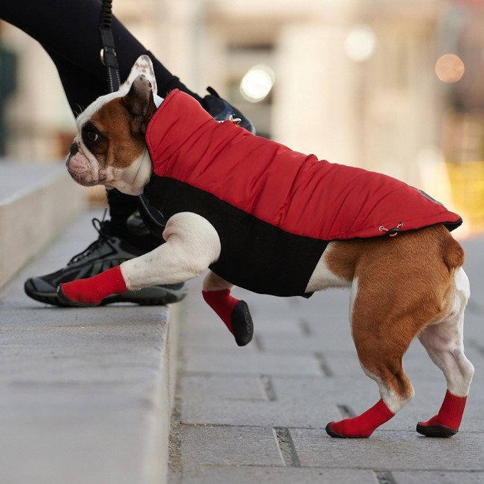 Goo-eez Ultras geeliga koerte saapad - Image 7