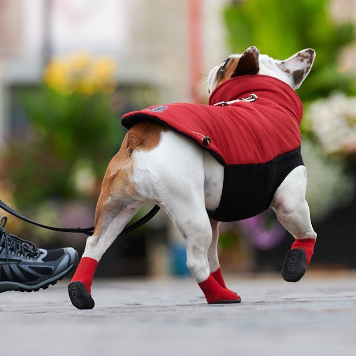 Goo-eez Ultras geeliga koerte saapad - Image 6