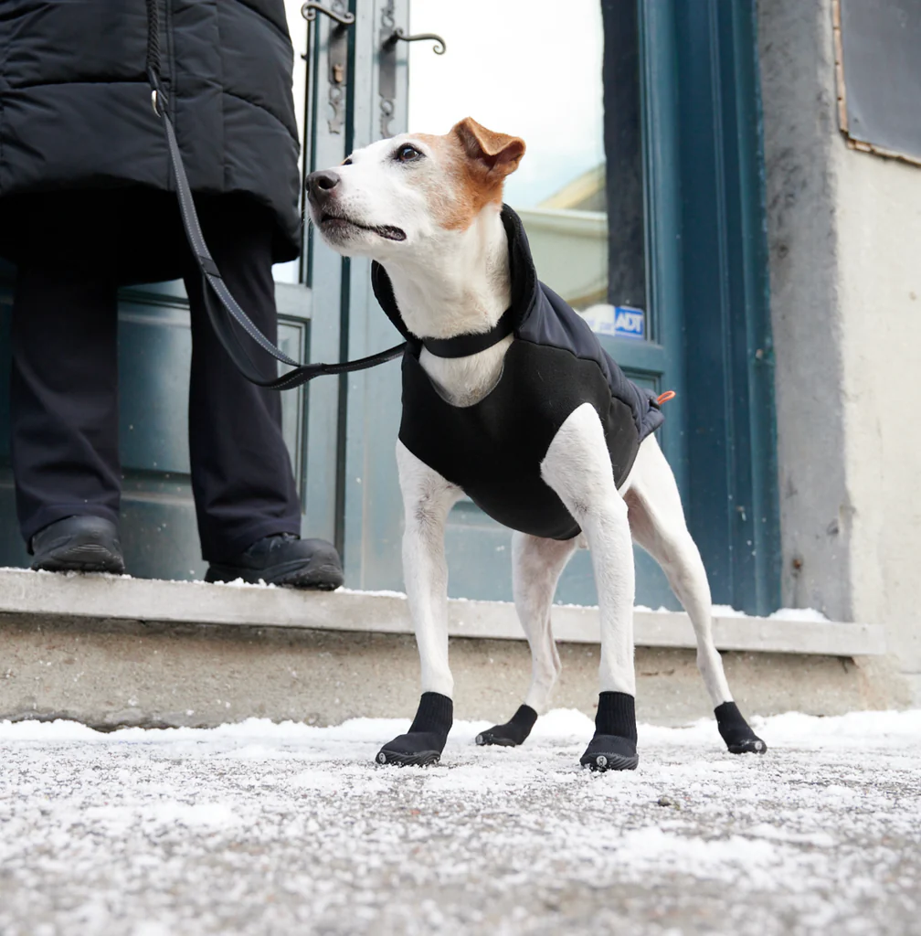 Goo-eez Ultras geeliga koerte saapad - Image 4